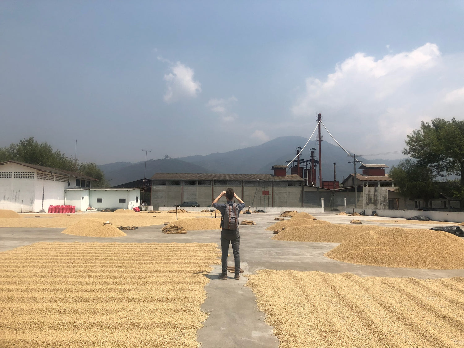 Michael at Nueva Esperanza in Guatemala. Standing among drying parchment coffee.