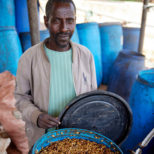 Coffee producer standing behind a barrel of fermenting honey coffee at Qonqana Washing Station in Sidama, Ethiopia.