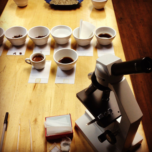 Sensory Science - Level 2