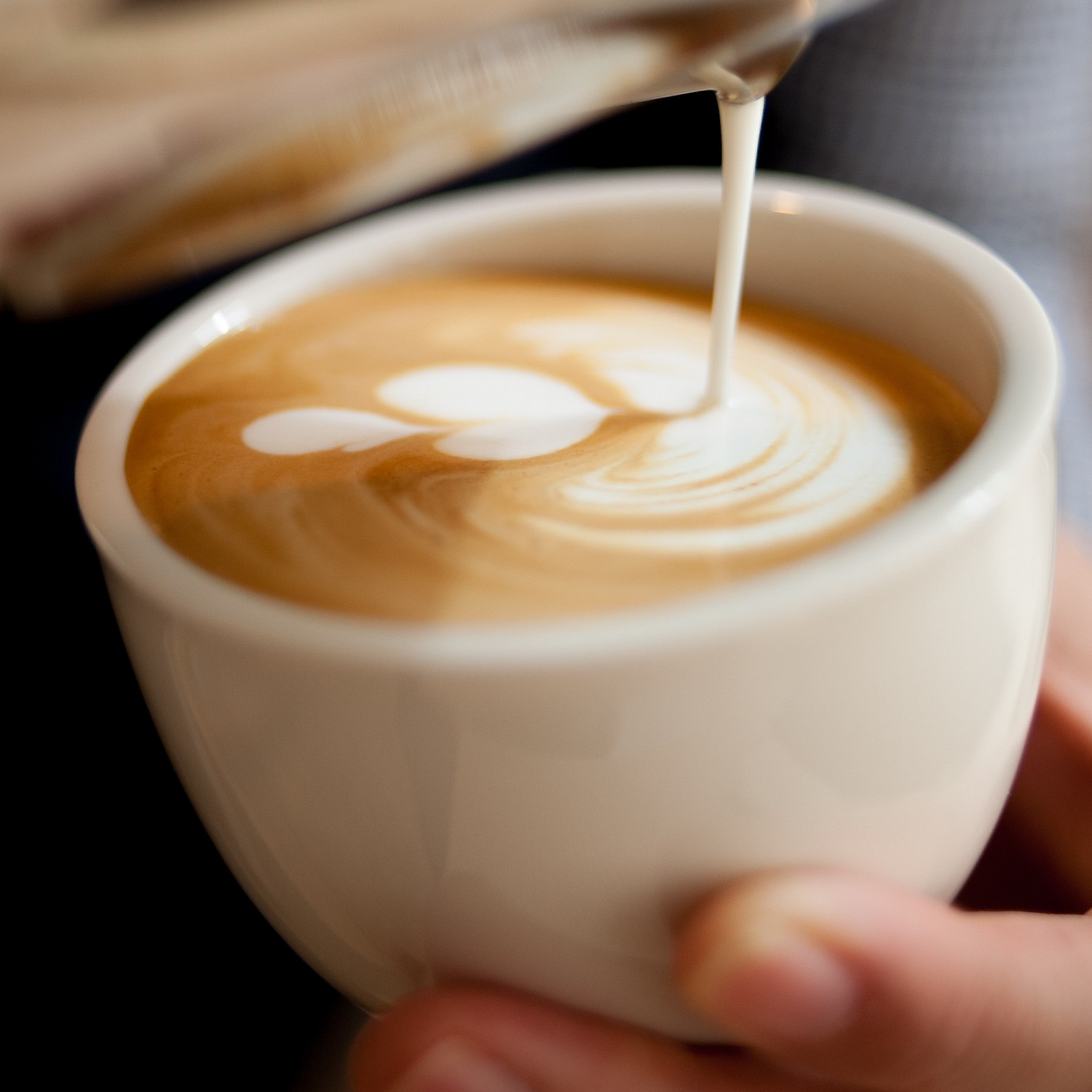 WHITE COFFEE BEVERAGES