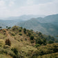 Scenic vista of a mountainous landscape with scattered trees and a clear sky.
