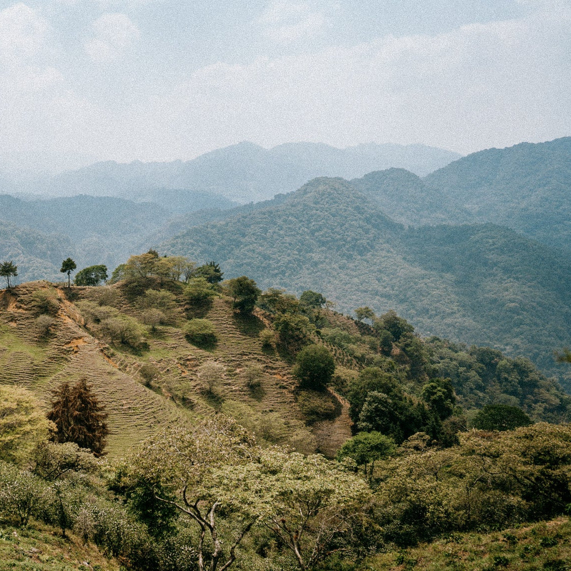 Scenic vista of a mountainous landscape with scattered trees and a clear sky.