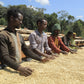 Coffee workers sorting parchment coffee outdoors with trees and blue sky in the background