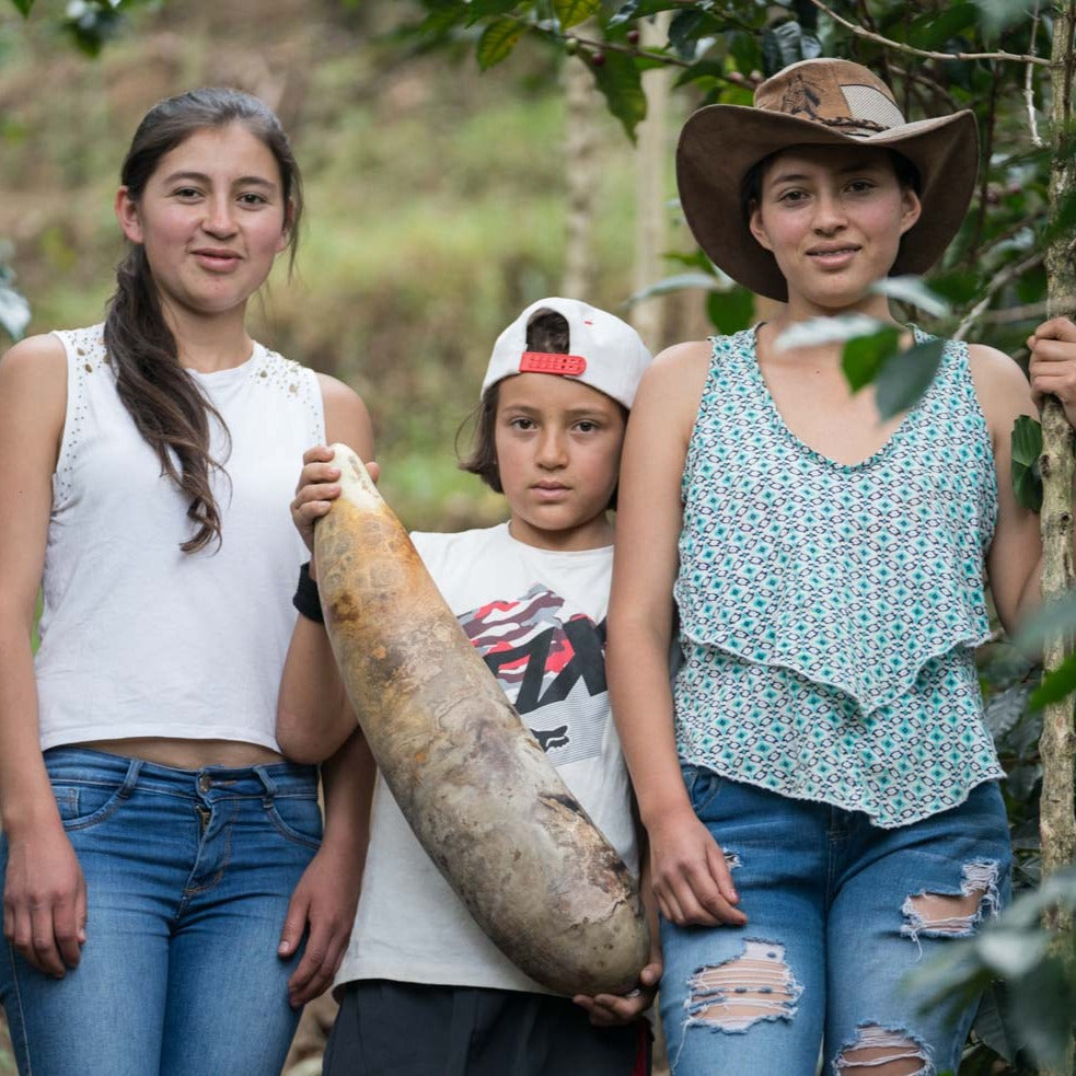 Coffee Roasters Greensboro roastery, coffee shop, + classes