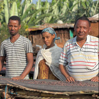 Mr Getaneh Girma and family standing behind a raised drying beds dotted with coffee berries. Lush foliage and mill buildings in the background.