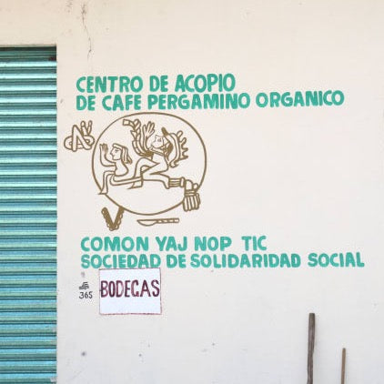 Mexico Comon Yaj Noptic Cooperative - Washed FLO - Wholesale