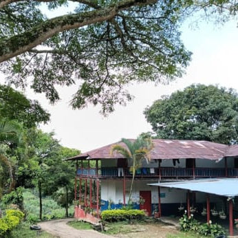 A coffee farmer's home and mill: a two-story building with a rusted metal roof and red support posts, surrounded by lush green trees and foliage in an outdoor setting.