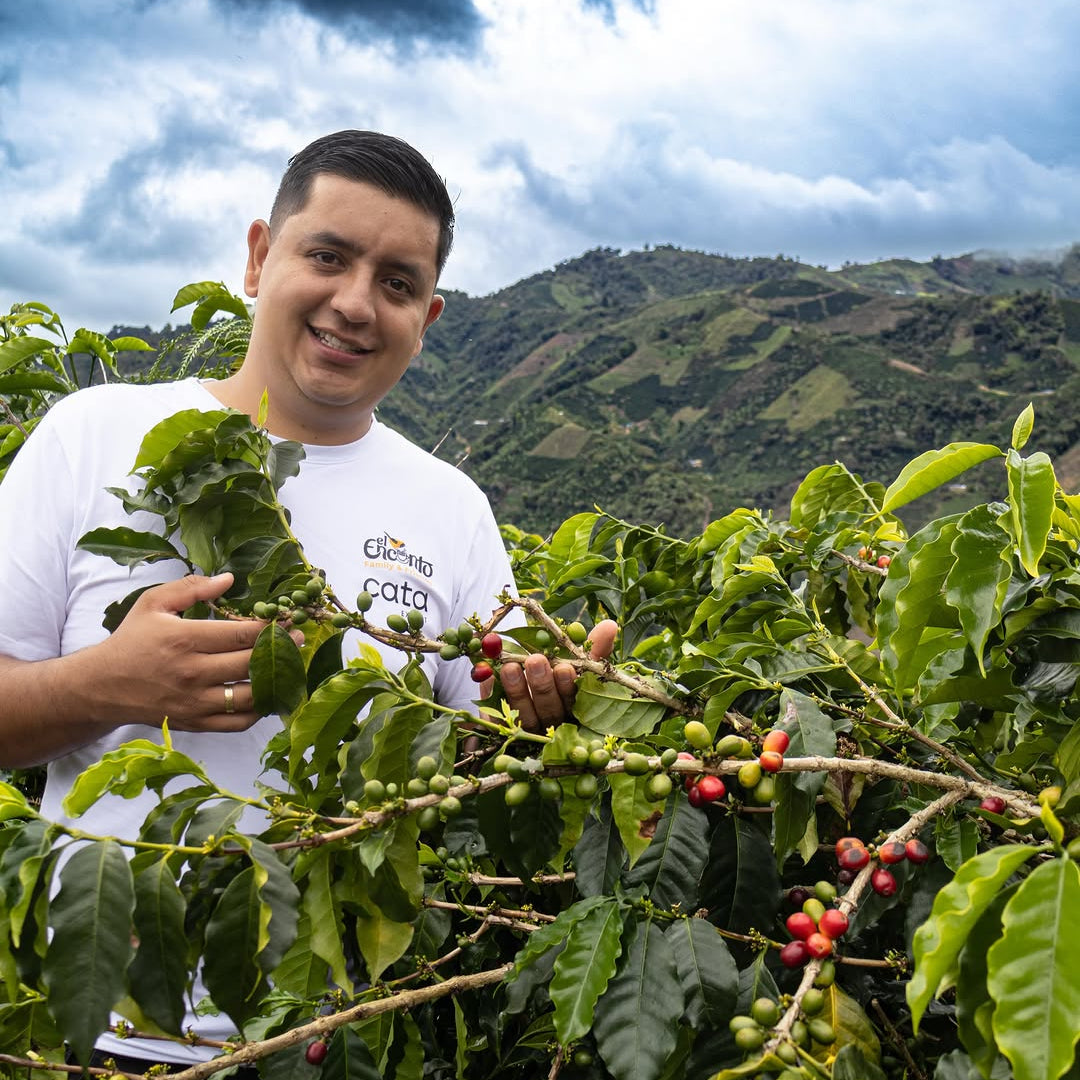 Franky Hoyos holds a branch of a coffee plant. It has green leaves and red berries against a mountainous landscape.