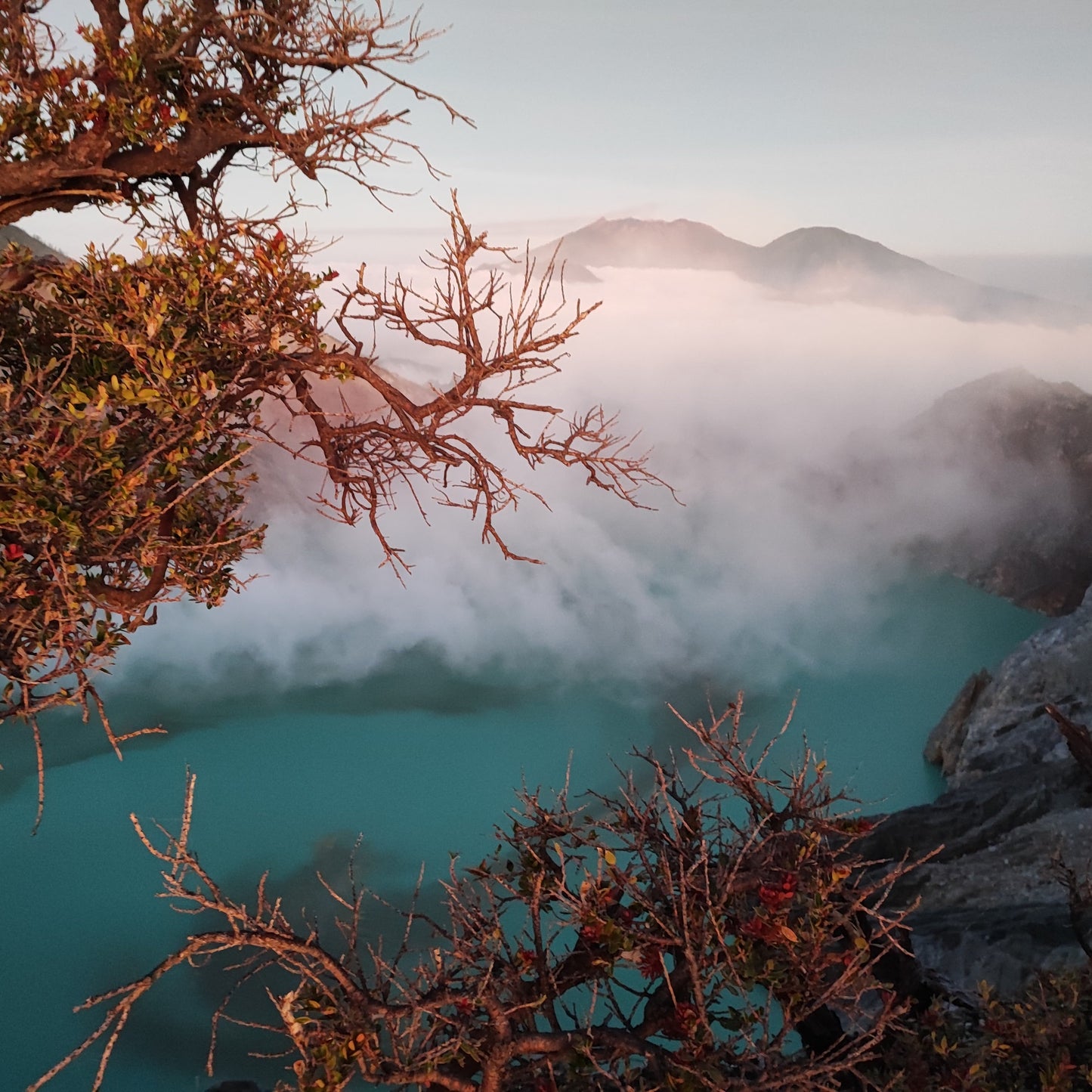 Turquoise lake surrounded by misty mountains and bare branches in the foreground.