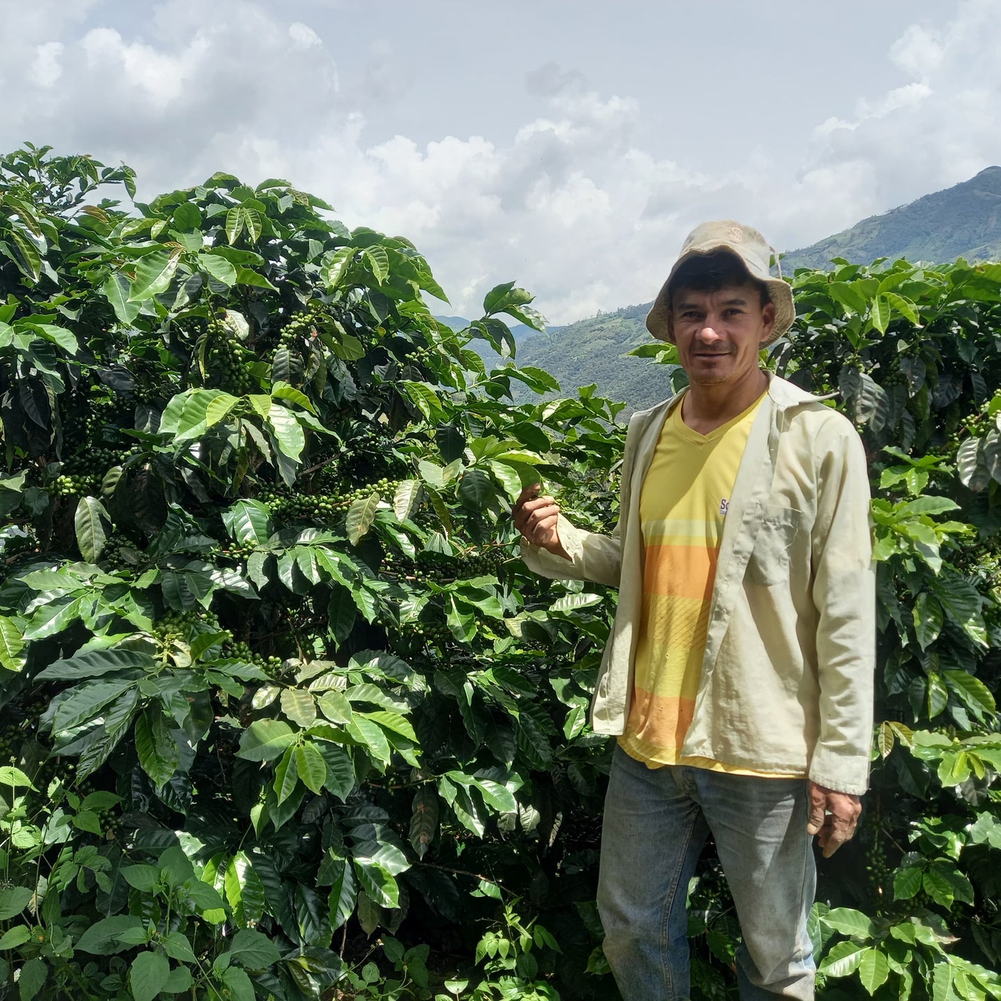 Perú El Chuquil - Washed - Oswaldo Elera