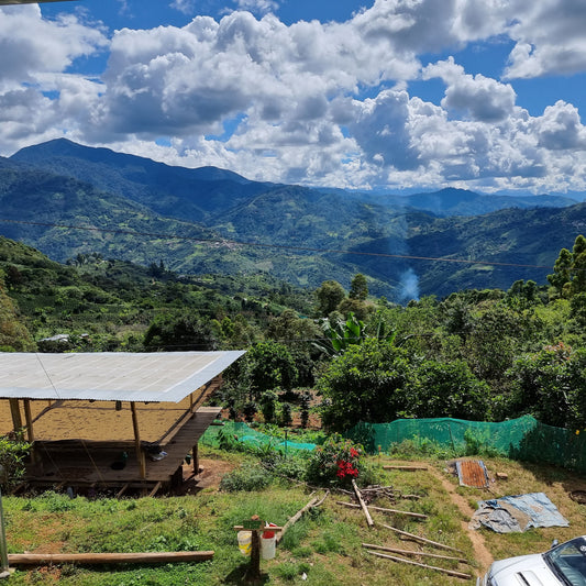 Scenic view of mountains in Cajamarca, Perú with a clear blue sky, coffee trees, and a coffee drying facility.