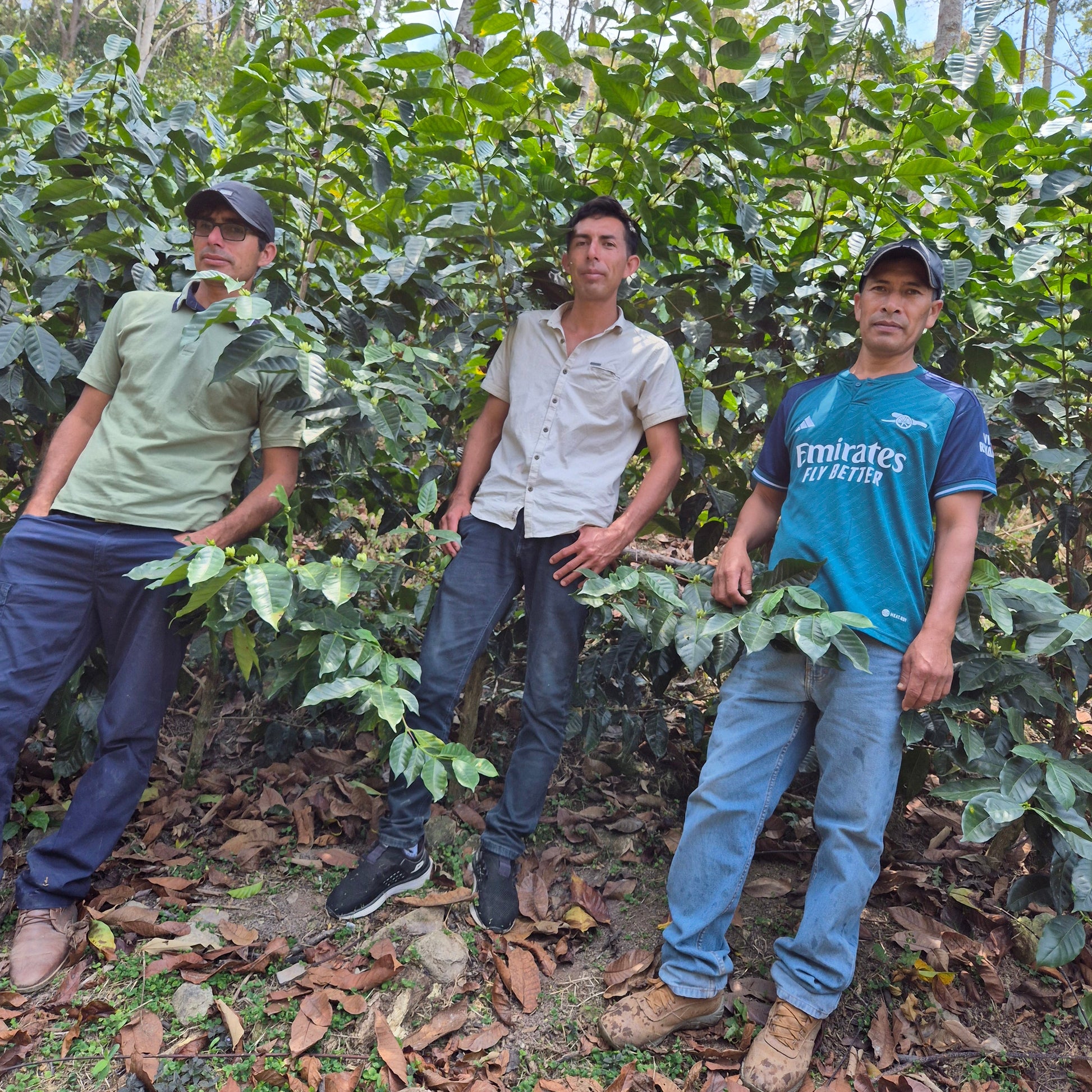 The Guerrero brothers standing in front of their coffee plants.