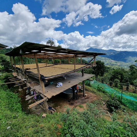 A raised drying bed in Jaen, Peru under bright blue skies with the Andes mountains in the background.