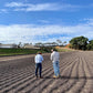 Brazil Rio Brilhante - Maracujá