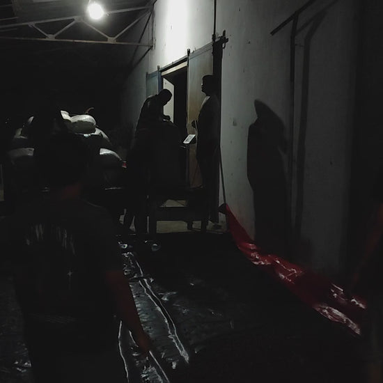 Video starting outside in the dark, then zooming into a mill. A tarp of coffee cherry  sits next to fermentation barrels and in front of a carbon dioxide machine.